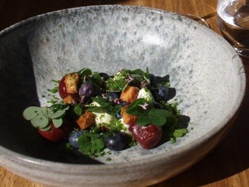 Noma, el mejor restaurante del mundo